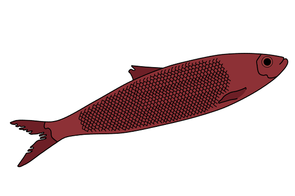 Hering - Veddeler Fischgaststätte