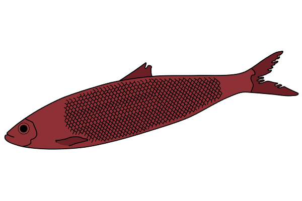 Hering - Veddeler Fischgaststätte